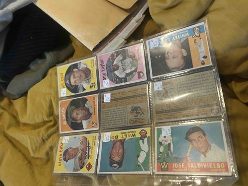 Vintage Baseball Card Collection in Plastic Sleeves