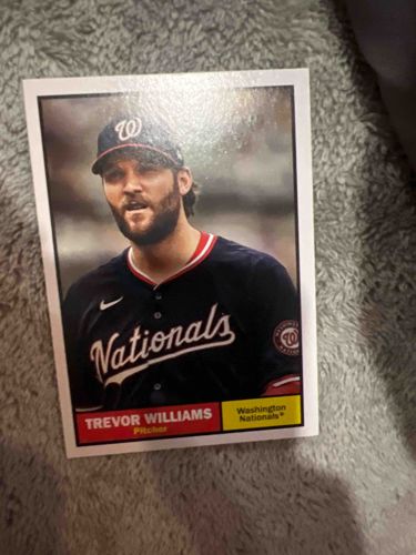 Trevor Williams Baseball Card