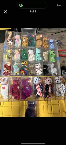 Collection of Beanie Babies in Protective Cases