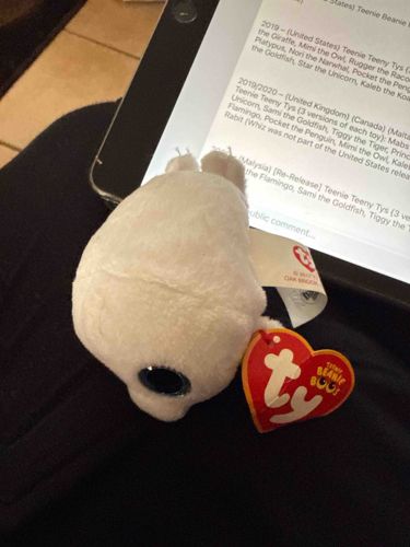 Ty Teeny Tys "Mimi the Owl" Plush Toy