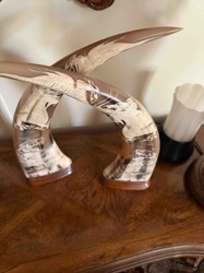 Pair of Carved Decorative Natural Horns with Dragon Motif