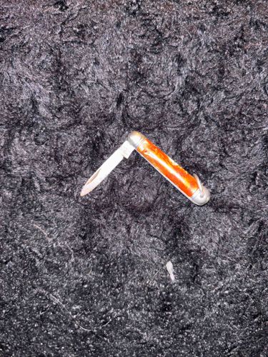 Single-Blade Pocket Knife with Jigged Bone Handle