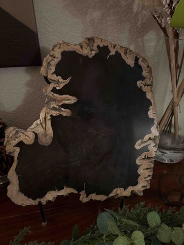 Polished Petrified Wood Slab on Custom Stand