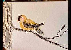 Bird on a Branch Acrylic Painting by Mary Chesney