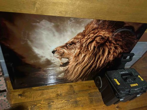 Tempered Glass Lion Wall Art