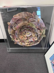 Multi-Layered Organic Form Paper/Fabric Sculpture in Acrylic Case