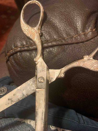 Vintage Griffon Decorative Embroidery Scissors