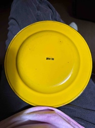 Yellow Enamelware Dinner Plate