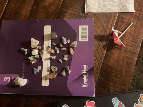 Collection of Small Raw Mineral and Rock Specimens