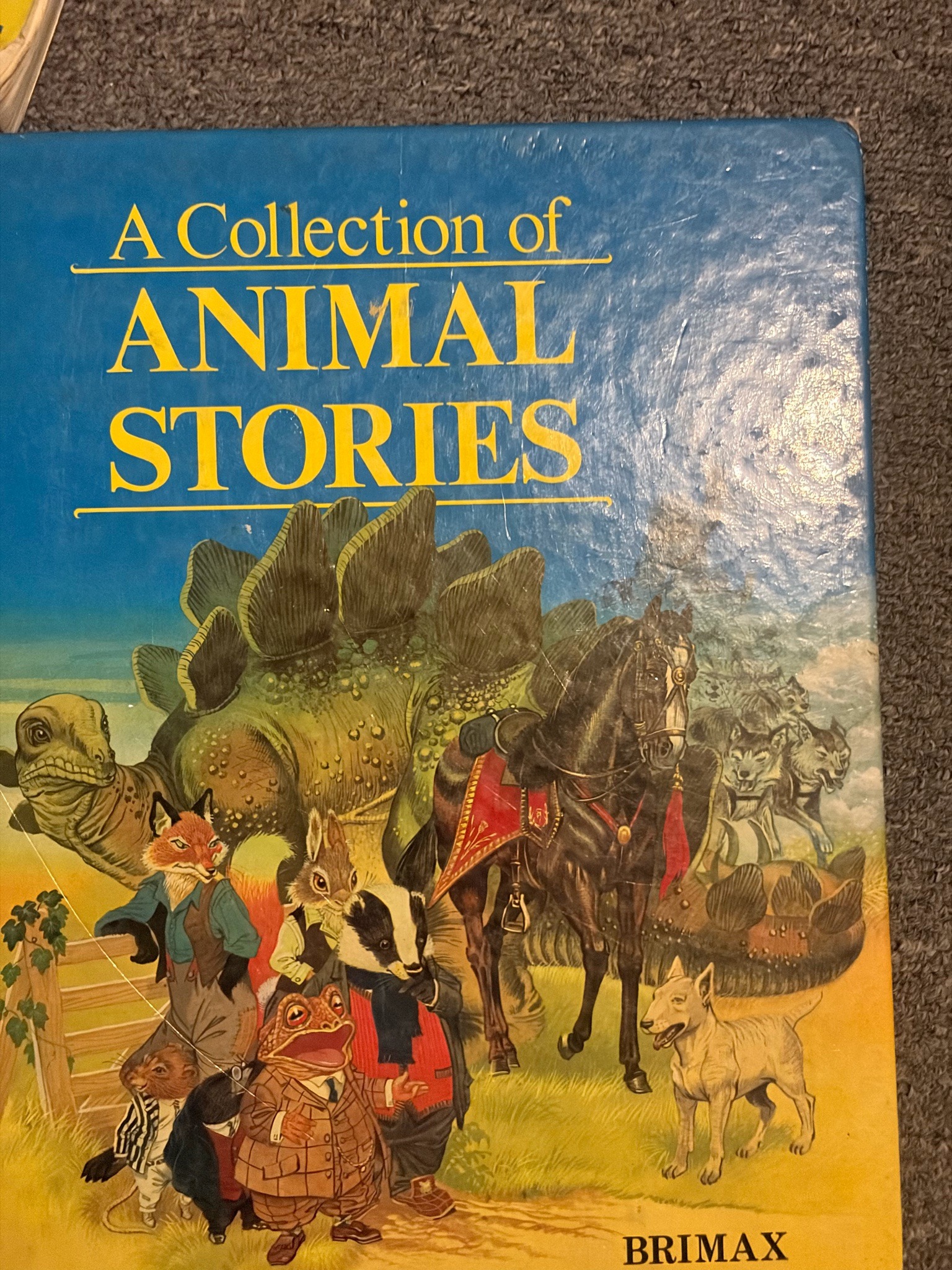 Submitted photo of Hardcover children's book titled 'A Collection of Animal Stories' published by Brimax (not authenticated)