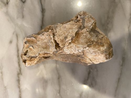 Stone Age Scraper Tool