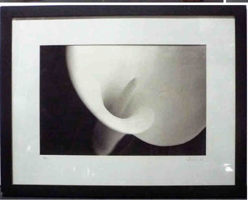Signed Limited Edition Calla Lily Photograph by Irwin, 2001