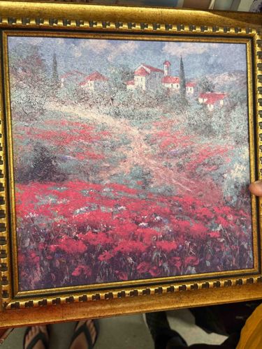 Framed 'Poppy Field Village' Print
