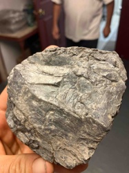Unidentified Metamorphic Rock Specimen