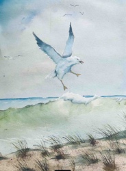 Seagull Over Breaking Wave Watercolor Painting by Mary Chesney