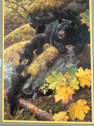 Black Bear with Two Cubs Wildlife Art Print