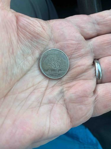 1993 Great American Tree Coin (Reversed)