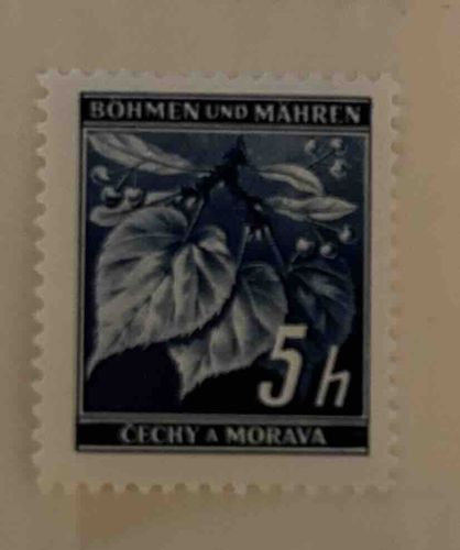 Protectorate of Bohemia and Moravia 5h Stamp