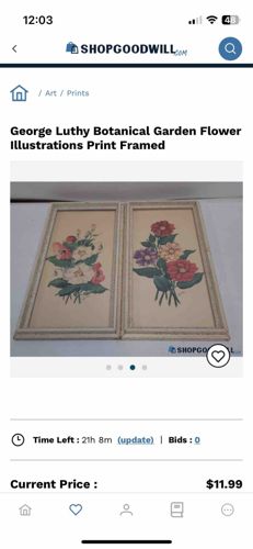 George Luthy Botanical Garden Flower Illustrations Print Framed (Set of 2)
