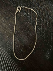 Snake Chain Bracelet/Anklet