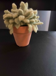 Artificial Flocked Succulent in Terracotta Pot