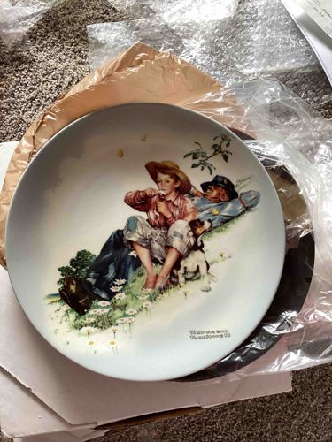 Norman Rockwell Collector Plate ('Breaking Home Ties'?)