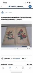 George Luthy Botanical Garden Flower Illustrations Print Framed (Set of 2)
