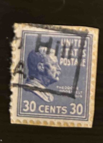 30 Cents Theodore Roosevelt US Postage Stamp (1922-1926 Series)