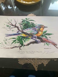 Soft Landing / Canadian Warbler / Study # One Limited Edition Print by Cherry Burnett