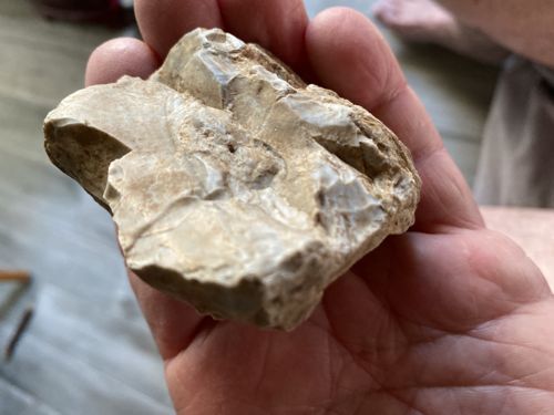 Paleo-Indian Chert Biface Lithic Tool