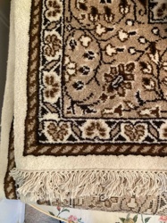 Traditional Style Wool and Cotton Area Rug