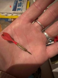 Miniature Dart