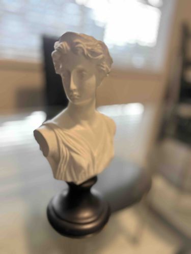 Classical Style Female Bust on Pedestal