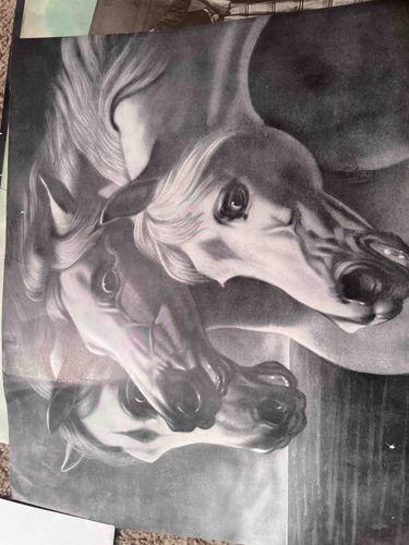 Monochrome Trio of Horses Portrait