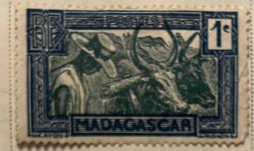 Madagascar 1 Centime 'Zebu and Herder' Postage Stamp