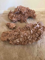 Desert Rose Selenite Specimens
