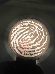 Don't Tell Me Lies / American Girls / Skin Trades / Laughter in the Rain / Hold Me Feeling (Vinyl Single)