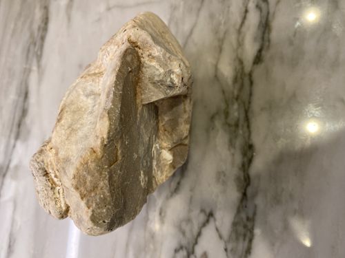 Fragmented Sedimentary Rock Specimen