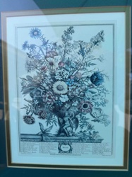 Framed Botanical Engraving 'Bouquet'