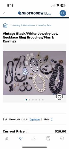 Vintage Black/White Jewelry Lot (Necklaces, Rings, Brooches/Pins & Earrings)