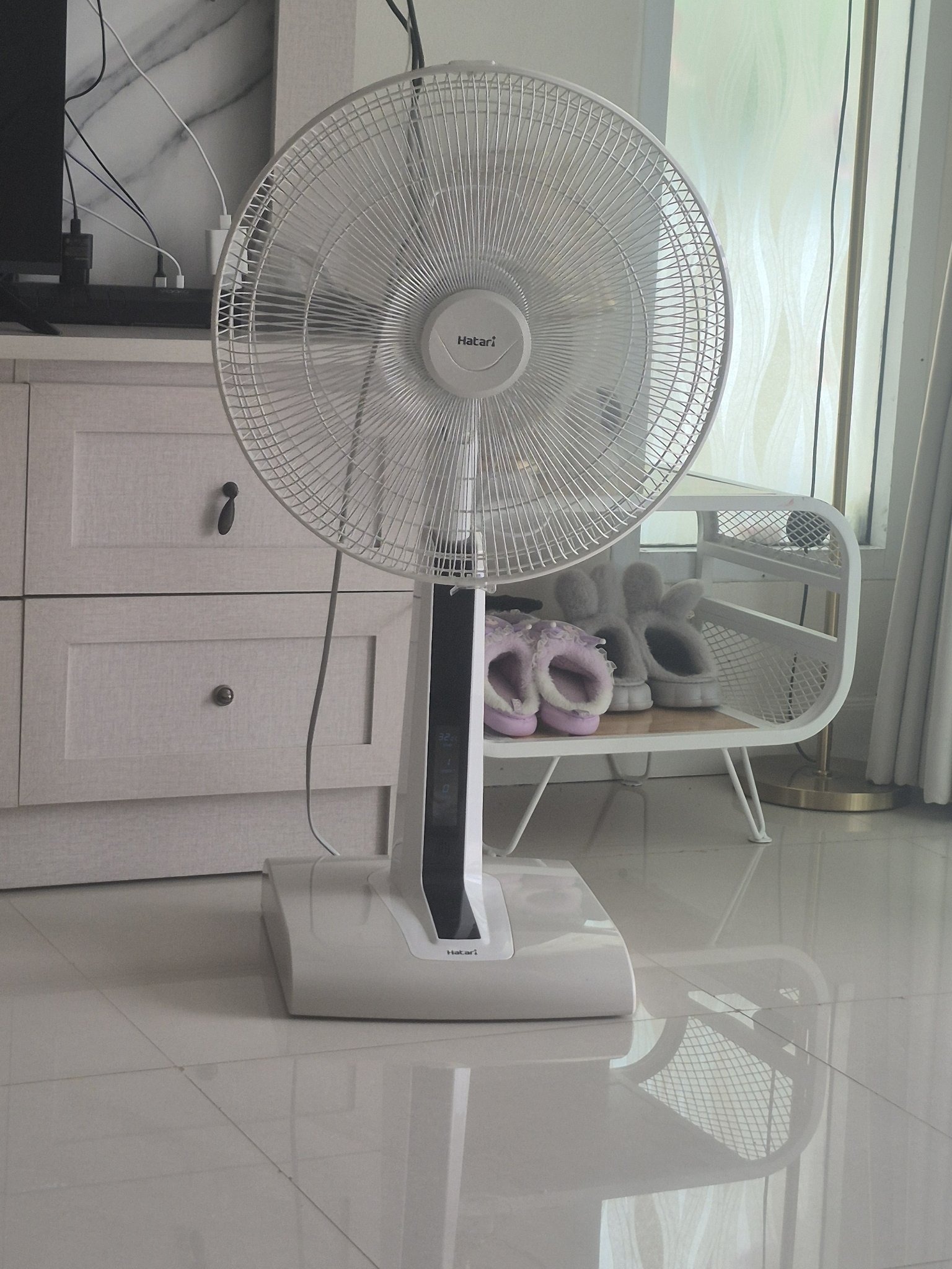 Submitted photo of Hatari electric stand fan (not authenticated)