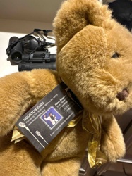 Plush Teddy Bear with 'Houston Elvis' Promotional Tag