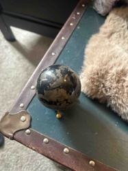 Pyrite in Shale Sphere