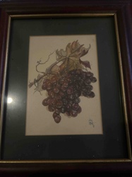 Framed Botanical Print of Purple Grapes with Vine and Leaf