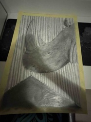 Rhinoceros Portrait Charcoal Drawing