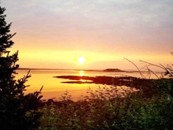 Sunset over Water with Silhouetted Foreground