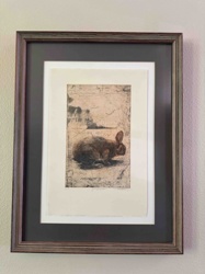 Framed Rabbit Print