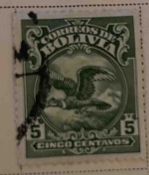 Bolivian 5 Centavos Stamp (Condor Design)