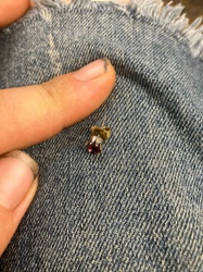 Single Stud Earring