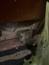 Weathered and Damaged Skull-like Object
